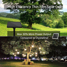Outdoor solar string lights with warm bulbs under trees and a dark solar panel on a stake