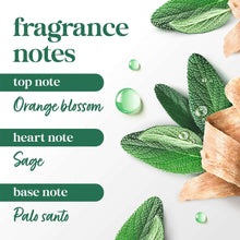 Fragrance notes graphic for body scrub with green sage and palo santo imagery