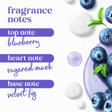 Fragrance notes graphic with blueberries and three scent bars.