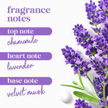 Fragrance notes graphic with chamomile, lavender, and velvet musk