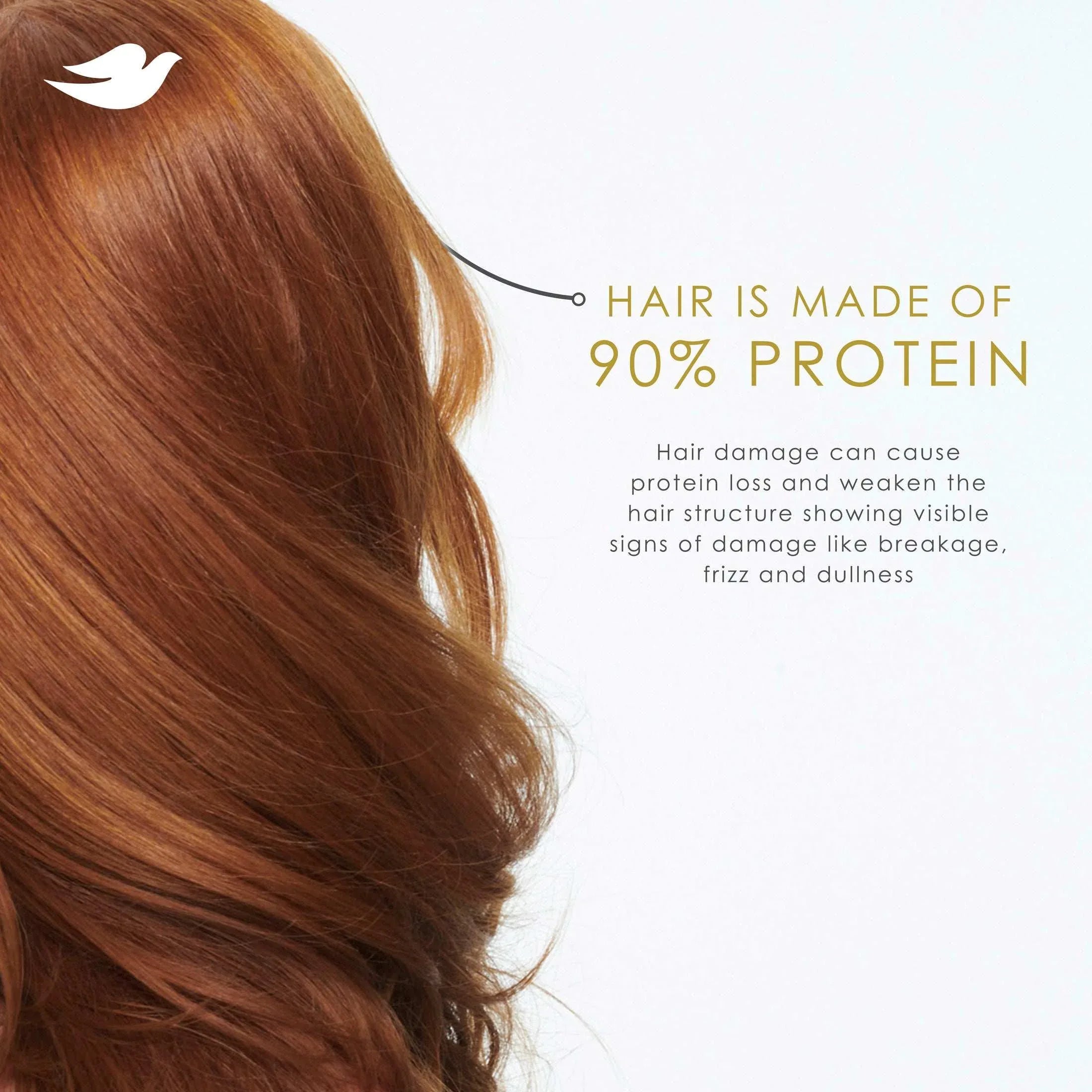 Dove Shampoo Intensive Repair with Bio-Protein Care Technology & Amino Serum, 18 oz - USA MEGA SHOP