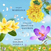 Bloom scent notes chart: marigold, honeyed saffron, golden vanilla