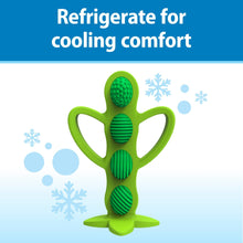 Green silicone peapod teether with cooling snowflake graphic concept.