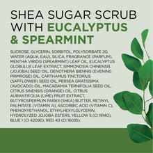 Shea sugar scrub with eucalyptus & spearmint ingredients panel on green label art