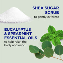 Shea sugar scrub graphic with white sugar pile and eucalyptus & spearmint