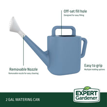 Blue resin watering can with removable nozzle and easy-grip body
