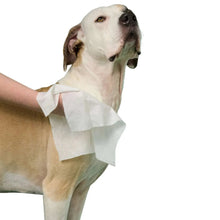 Dog being cleaned with white pet wipes held on its coat