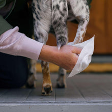 Dog paw being wiped with a white pet wipe by a hand