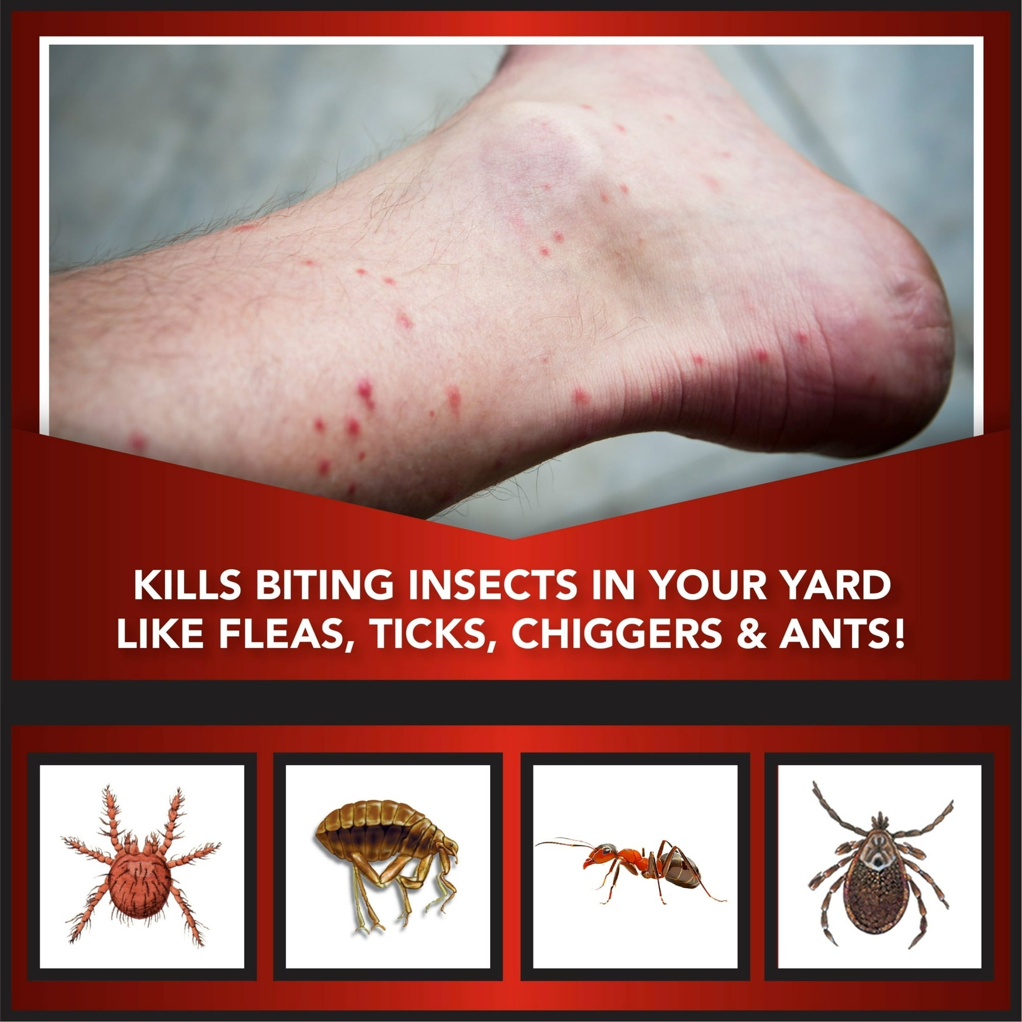Eliminator Ant, Flea & Tick Killer Plus Lawn Insect Granules Pesticide