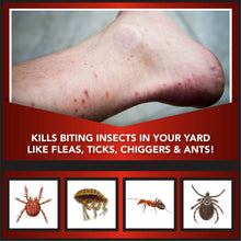 Ankle with red bite marks and small insect illustrations on a warning graphic