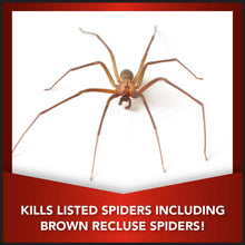 Spider illustration on a white panel with a red warning graphic