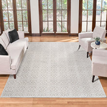 Light gray area rug with ornate damask pattern and beige highlights, fringed border