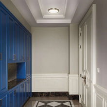 Flush mount LED ceiling light in round housing with brushed trim