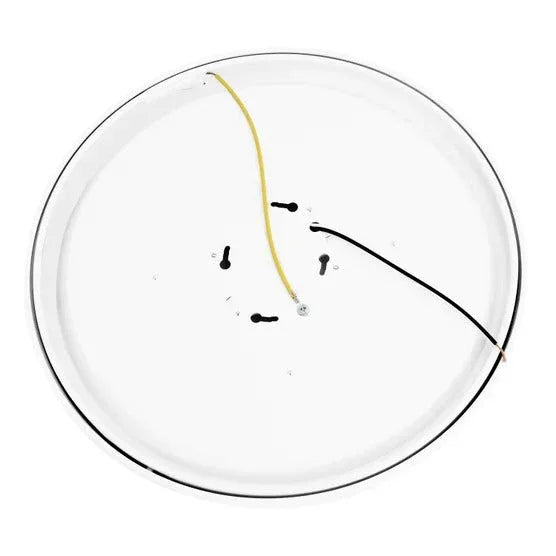 Energetic 14â€ Slim LED Flush Mount Light Fixture - USA MEGA SHOP