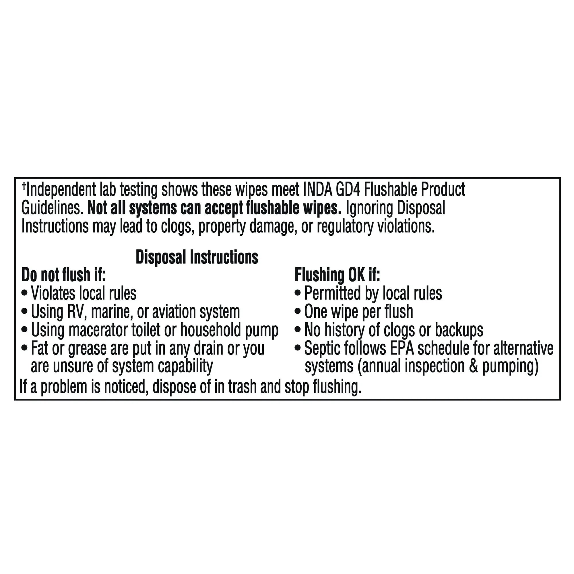 Equate Extra Large Flushable Wet Wipes, Mint, 240 Wipes (5 Pack)