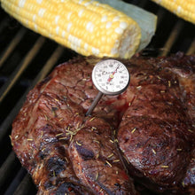 Meat probe thermometer dial in roasted beef on grill rack