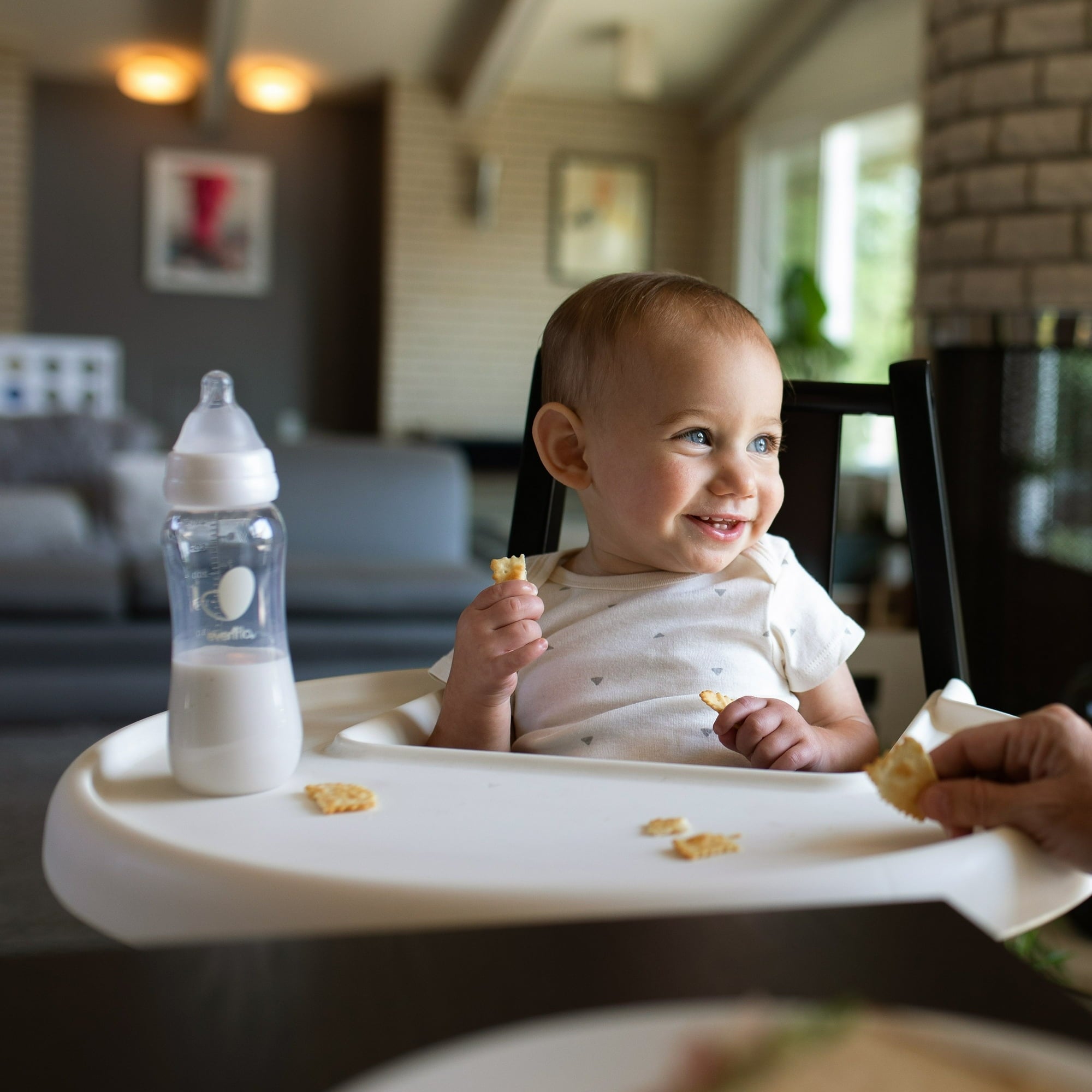 Evenflo Balance + Standard Neck Plastic Baby Bottles, Clear, BPA-Free, 9 oz