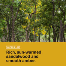 Sandalwood scent description panel for beard thickening cream: rich, sun-warmed amber
