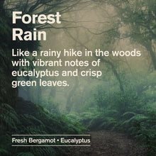 Forest Rain scent graphic with eucalyptus and green leaves