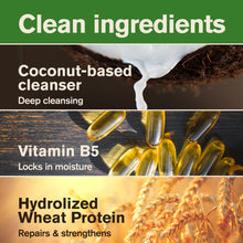 Ingredient graphic for men’s 2-in-1 shampoo+conditioner: coconut-based cleanser, Vitamin B5