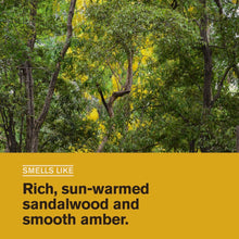 Men's beard oil scent graphic panel with warm yellow background and leaf-like pattern.