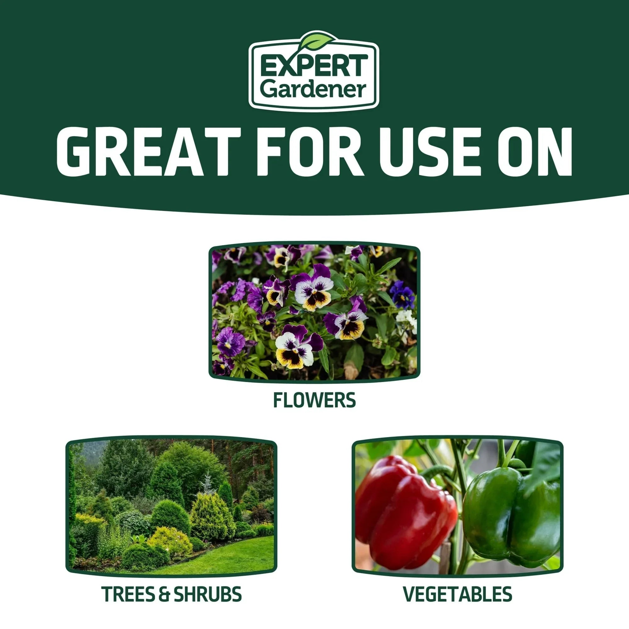 Expert Gardener All Purpose Plant Food Fertilizer 16-16-16, 20 lb.