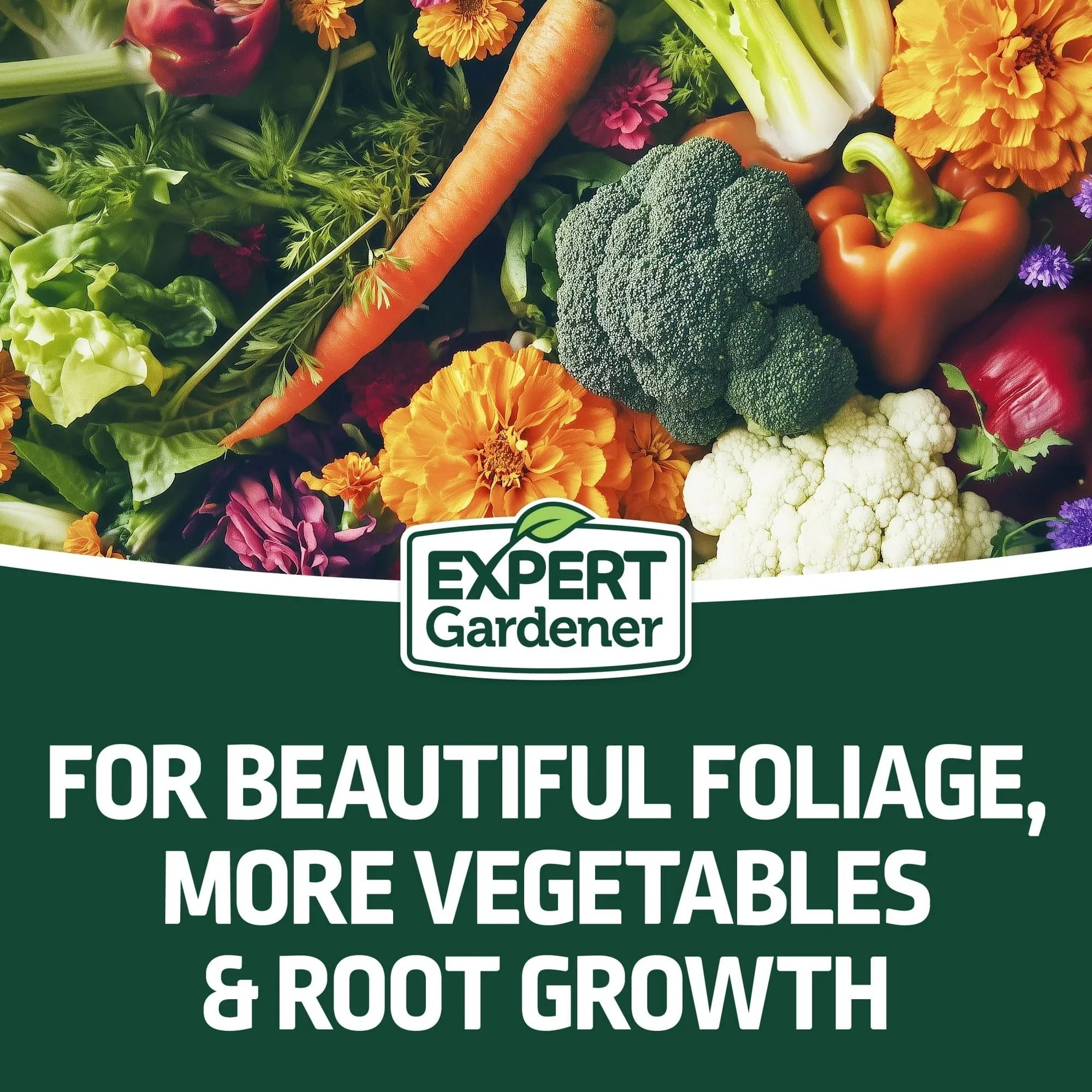 Expert Gardener All Purpose Plant Food Fertilizer 16-16-16, 20 lb.