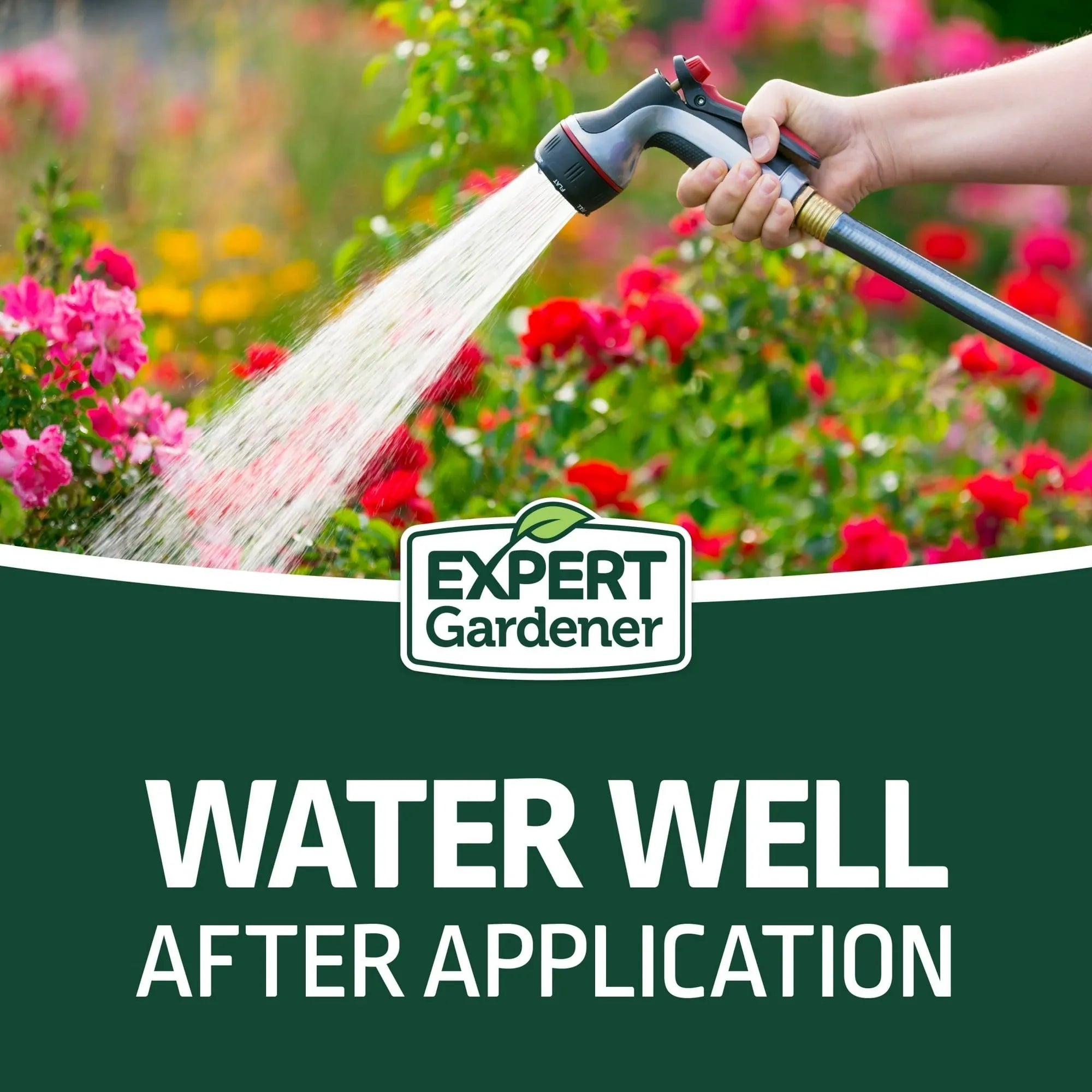 Expert Gardener All Purpose Plant Fertilizer, 10-10-10 Fertilizer