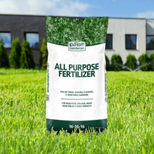 Expert Gardener all purpose fertilizer bag front, 16-16-16 NPK, green/white packaging