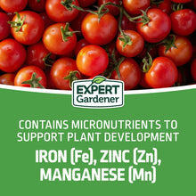Plant food label stating contains micronutrients: iron (Fe), zinc (Zn), manganese (Mn)