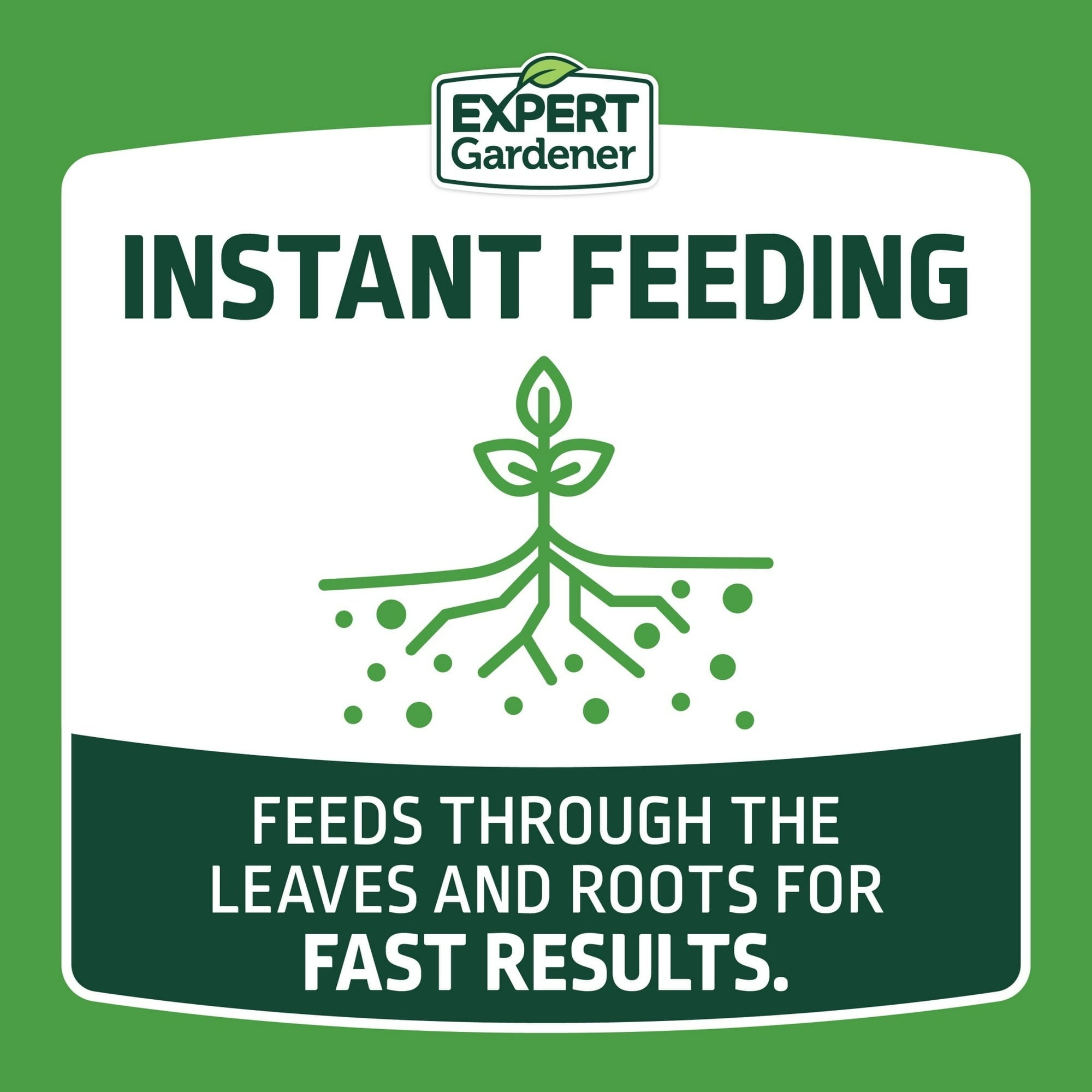 Expert Gardener All-Purpose Water Soluble Plant Food Fertilizer