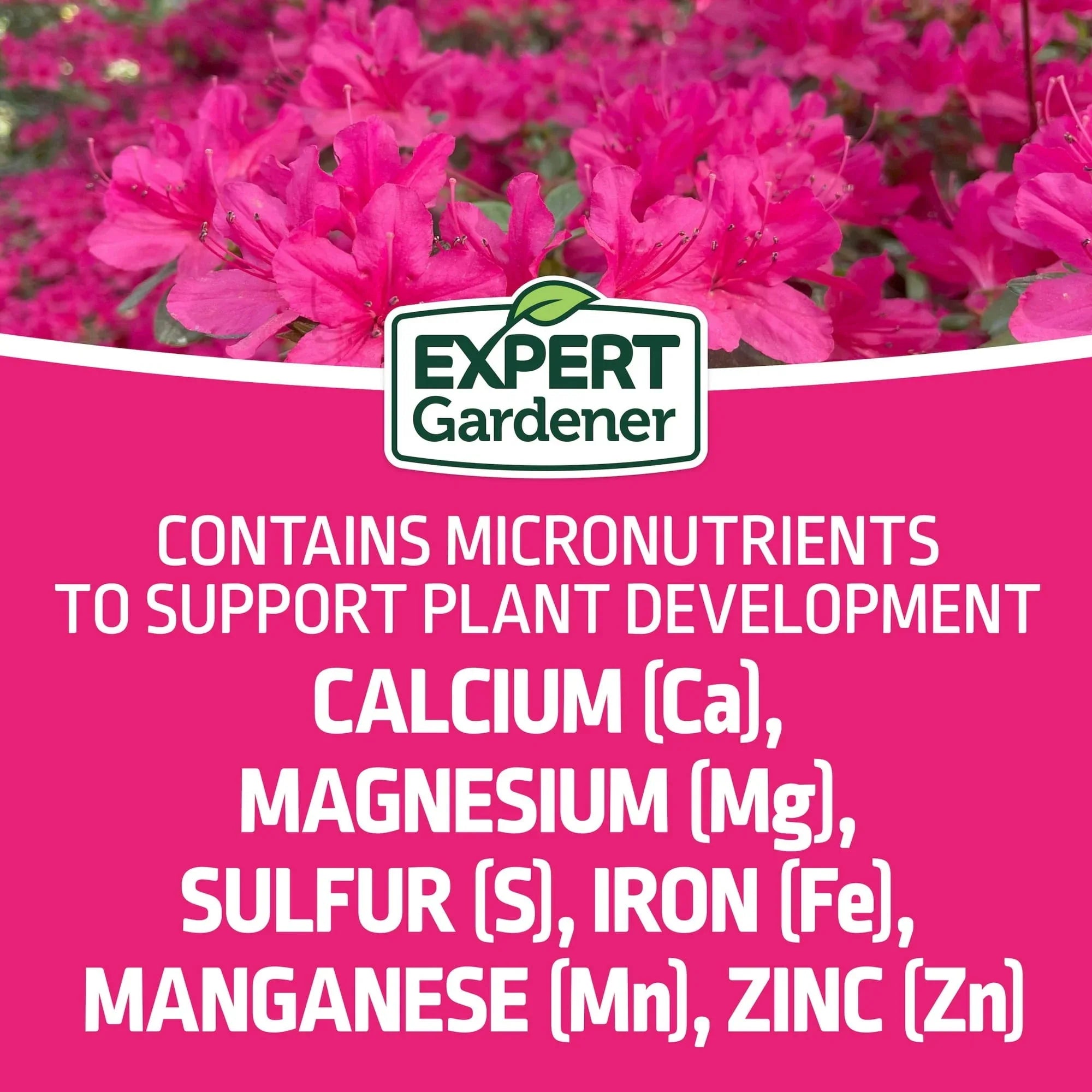 Expert Gardener Azalea, Camellia & Rhododendron Plant Food Fertilizer 10-8-8, 4 lb.