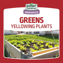 Blood meal plant food label card reading greens yellowing plants