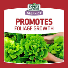 Blood meal plant food label card: promotes foliage growth with hands and lettuce