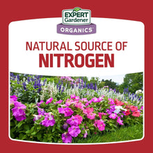 Blood meal plant food label card: natural source of nitrogen with flowering plants