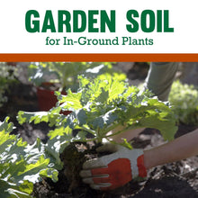 Garden soil for in-ground plants text over gloved hand placing seedlings