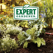 Expert Gardener logo over young plants and dark soil