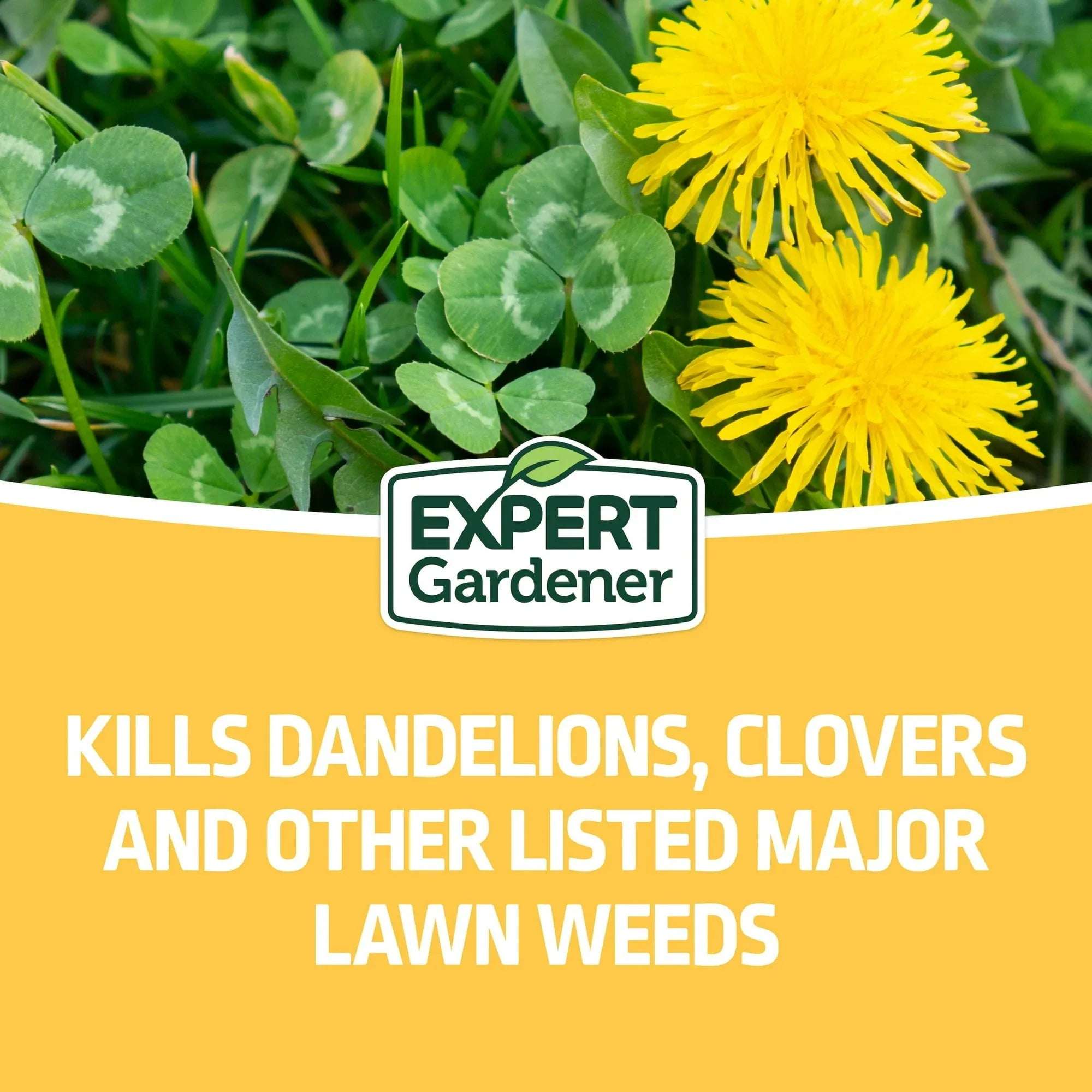 Expert Gardener Liquid Lawn Food Fertilizer & Weed Control, Ready-to-Spray, 32 Fl Oz
