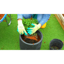 Gloved hands adding brown potting mix to a black planting container
