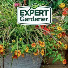 Expert Gardener logo over flowering potted plants in a garden bed