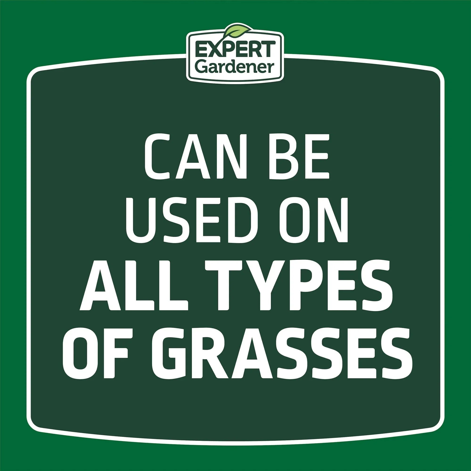 Expert Gardener Ready to Spray Lawn Food, 22-0-3 Fertilizer, 32 oz. Liquid