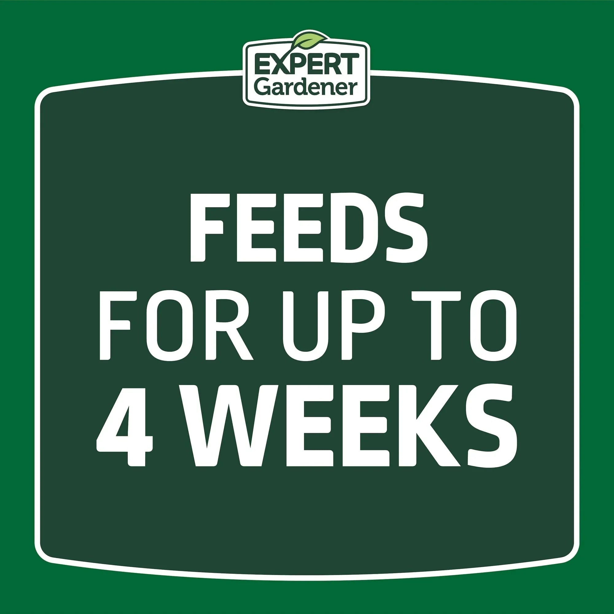 Expert Gardener Ready to Spray Lawn Food, 22-0-3 Fertilizer, 32 oz. Liquid