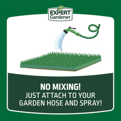 Expert Gardener Ready to Spray Lawn Food, 22-0-3 Fertilizer, 32 oz. Liquid