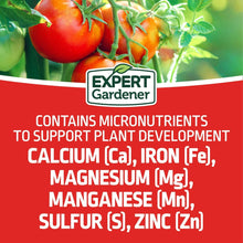 Tomato & vegetable garden plant food label: contains micronutrients for plant development