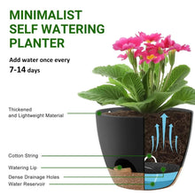 Black self-watering planter cross-section with watering lip, drainage holes, and reservoir