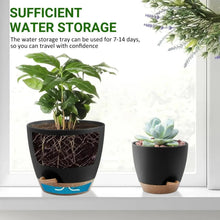 Black self-watering planter with plantings and a smaller mint planter with succulent