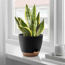 Self-watering plant pot with drainage tray, matte black planter with speckled base