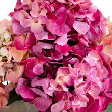Close-up faux hydrangea petals in bright pink and magenta with pale peach accents
