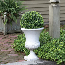 Faux boxwood round topiary ball in white urn planter with carved base