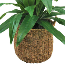 Faux dracaena plant with woven round basket and sweeping green leaves